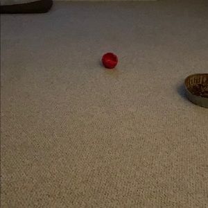 Meet your Posher, Sonya